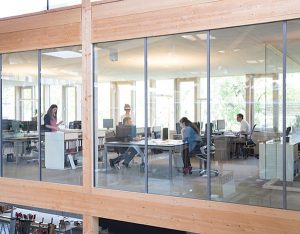 Segment Reporting: A Window into Business Realities